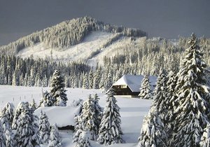 Na Šumavě bylo nejchladněji. Takto jste zachytili zimu na Instagramu.