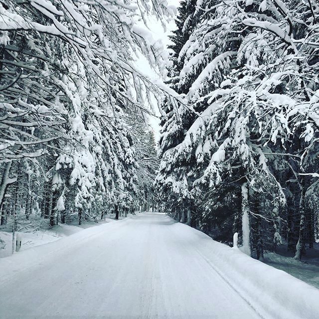 Na Šumavě bylo nejchladněji. Takto jste zachytili zimu na Instagramu.
