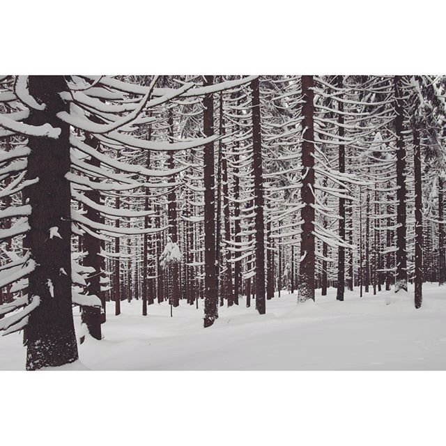 Na Šumavě bylo nejchladněji. Takto jste zachytili zimu na Instagramu.