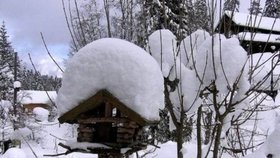 Zahrada v lednu spí, přesto je třeba ji pravidelně kontrolovat