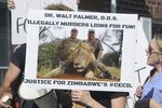 V Zimbabwe zabili lva Cecila a teď i jeho potomka.
