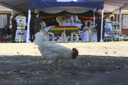 Bývalého prezidenta Zimbabwe Mugabeho pohřbili v rodné vesnici.