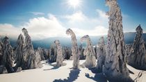 Fotoreportáž Hany Jampílkové: Zimní Krkonoše, hory mého srdce