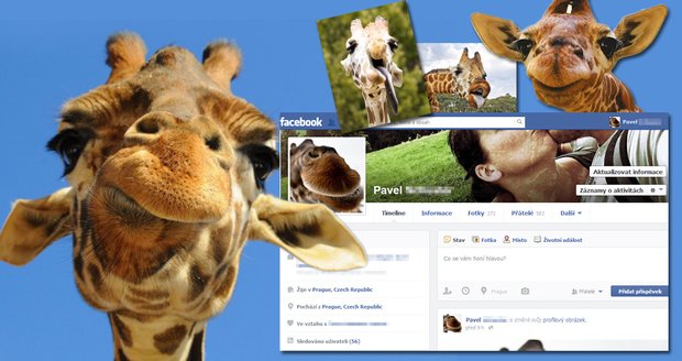 Facebookem se šíří jako vir nový vtípek - staň se žirafou!
