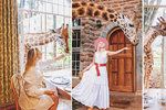 Hitem Instagramu je unikátní hotel v Keni: V hotelu Giraffe Manor můžete posnídat s ohroženým druhem žiraf!