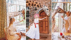 Hitem Instagramu je unikátní hotel v Keni: V hotelu Giraffe Manor můžete posnídat s ohroženým druhem žiraf!