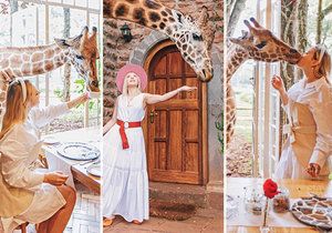 Hitem Instagramu je unikátní hotel v Keni: V hotelu Giraffe Manor můžete posnídat s ohroženým druhem žiraf!