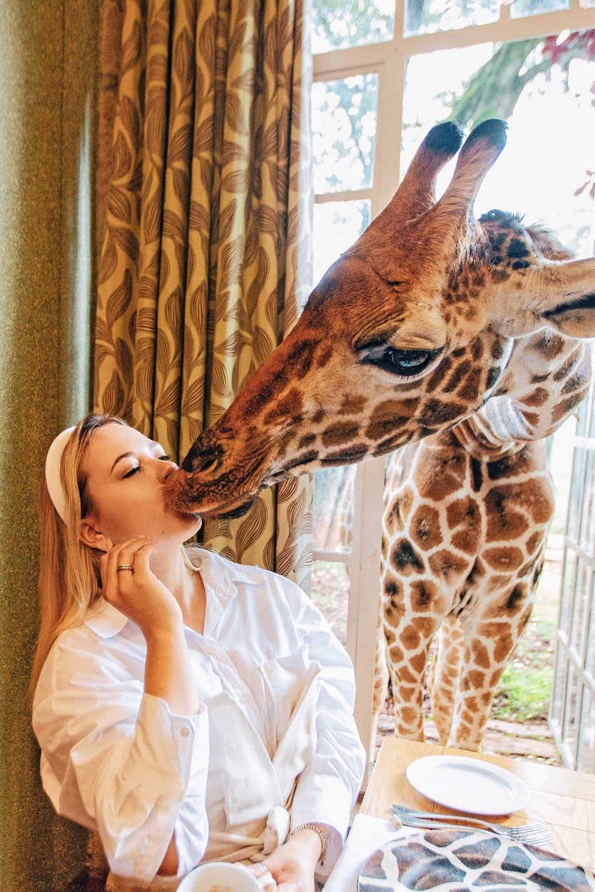 Hitem Instagramu je unikátní hotel v Keni: V hotelu Giraffe Manor můžete posnídat s ohroženým druhem žiraf!