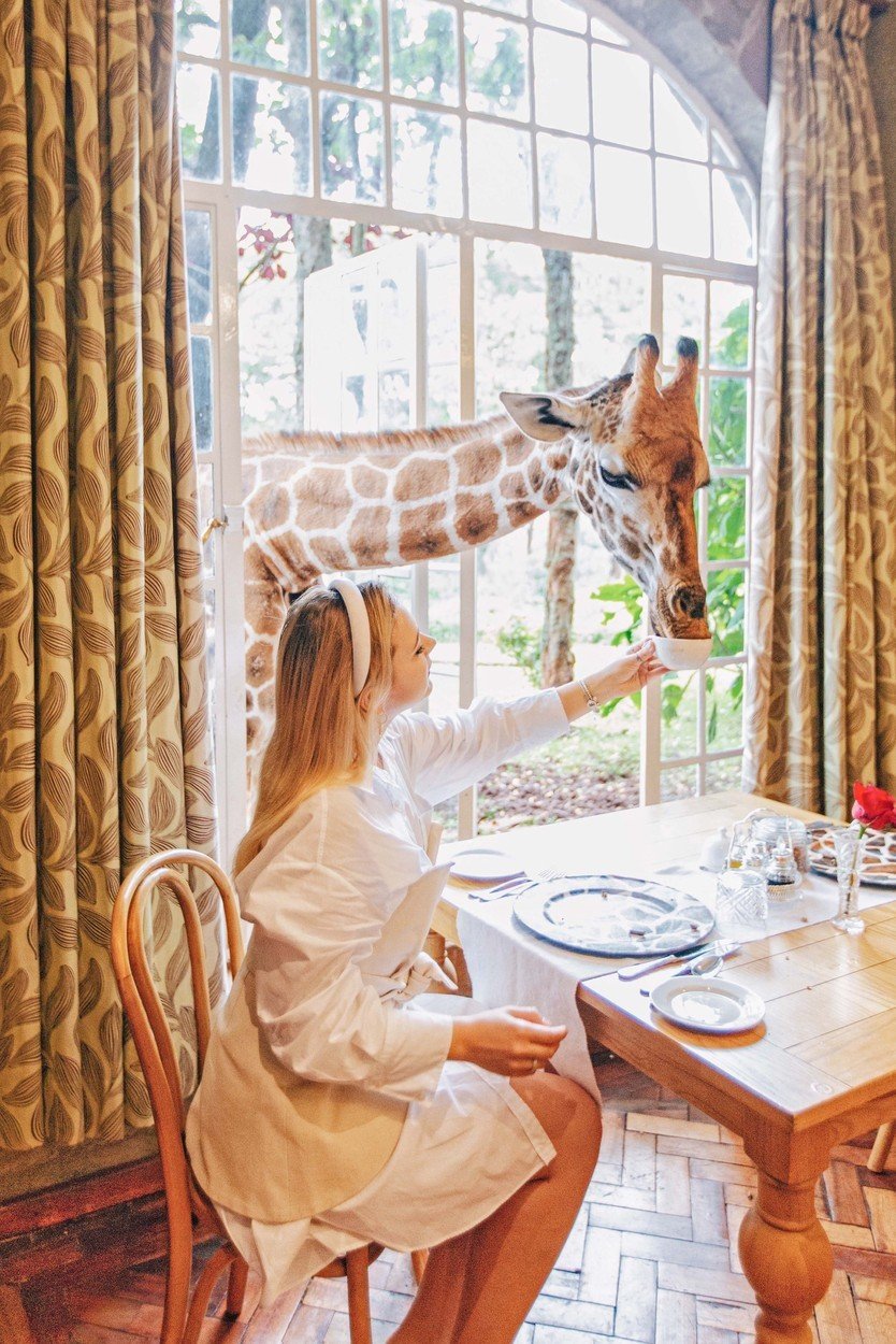 Hitem Instagramu je unikátní hotel v Keni: V hotelu Giraffe Manor můžete posnídat s ohroženým druhem žiraf!