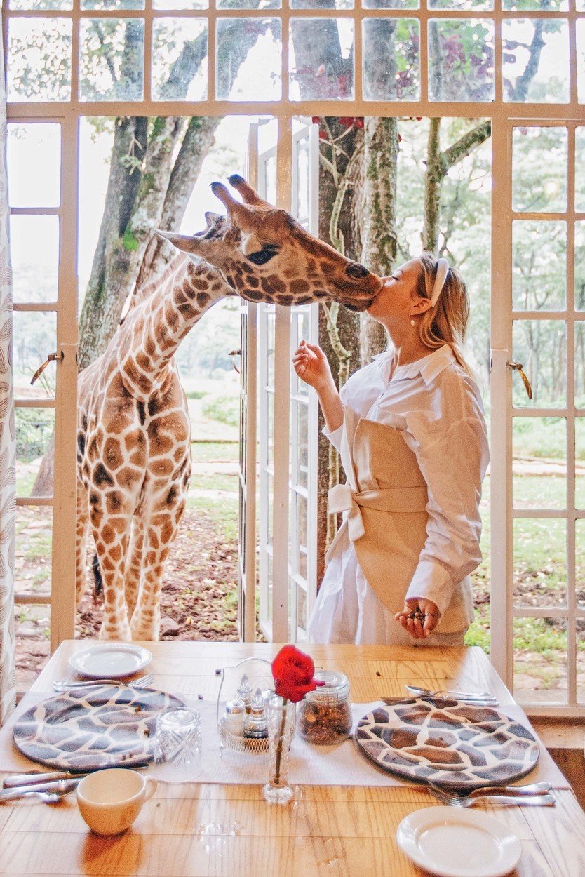 Hitem Instagramu je unikátní hotel v Keni: V hotelu Giraffe Manor můžete posnídat s ohroženým druhem žiraf!