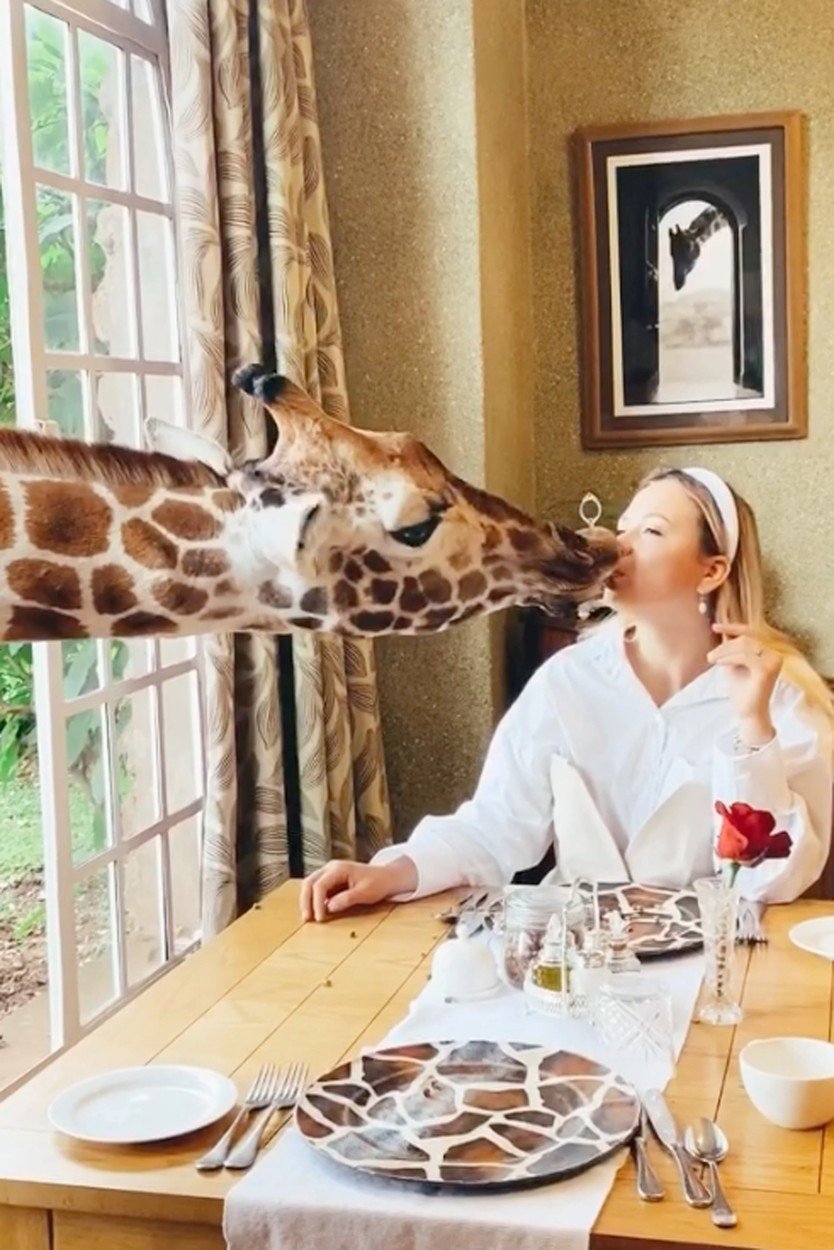 Hitem Instagramu je unikátní hotel v Keni: V hotelu Giraffe Manor můžete posnídat s ohroženým druhem žiraf!