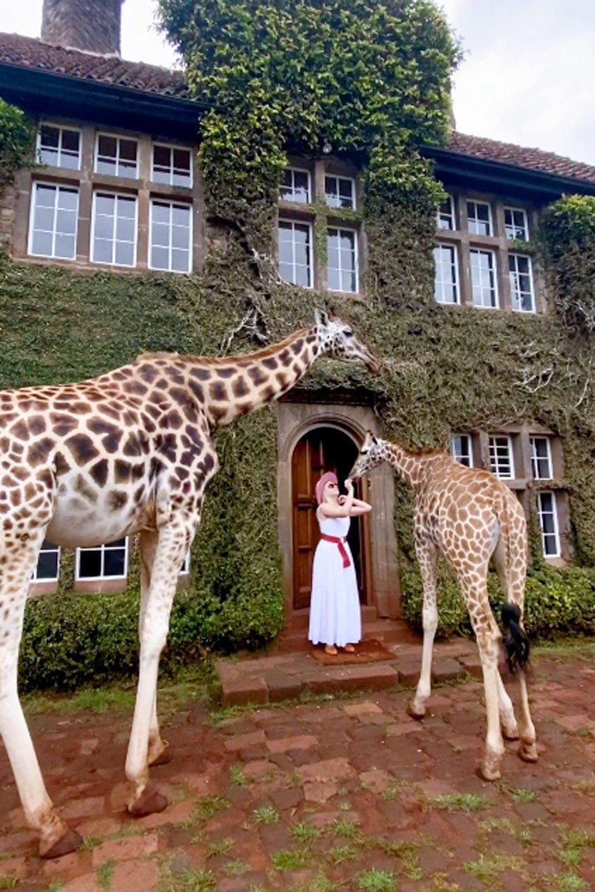 Hitem Instagramu je unikátní hotel v Keni: V hotelu Giraffe Manor můžete posnídat s ohroženým druhem žiraf!