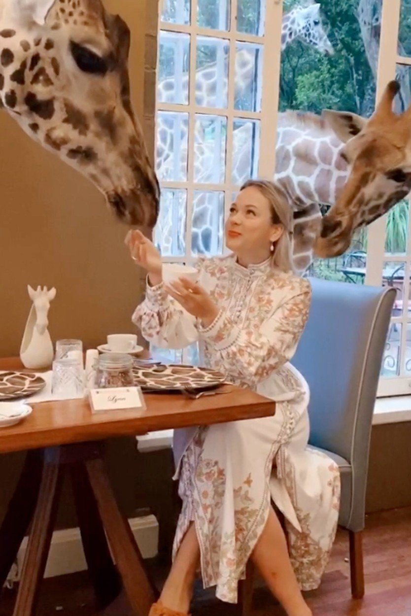 Hitem Instagramu je unikátní hotel v Keni: V hotelu Giraffe Manor můžete posnídat s ohroženým druhem žiraf!