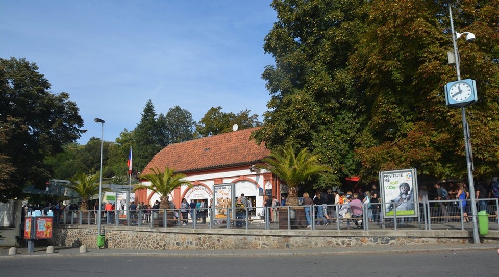 Na křtiny přišly do zoo tisíce lidí. Zájem o zjištění jmen žirafy a hrabáče byl obrovský.