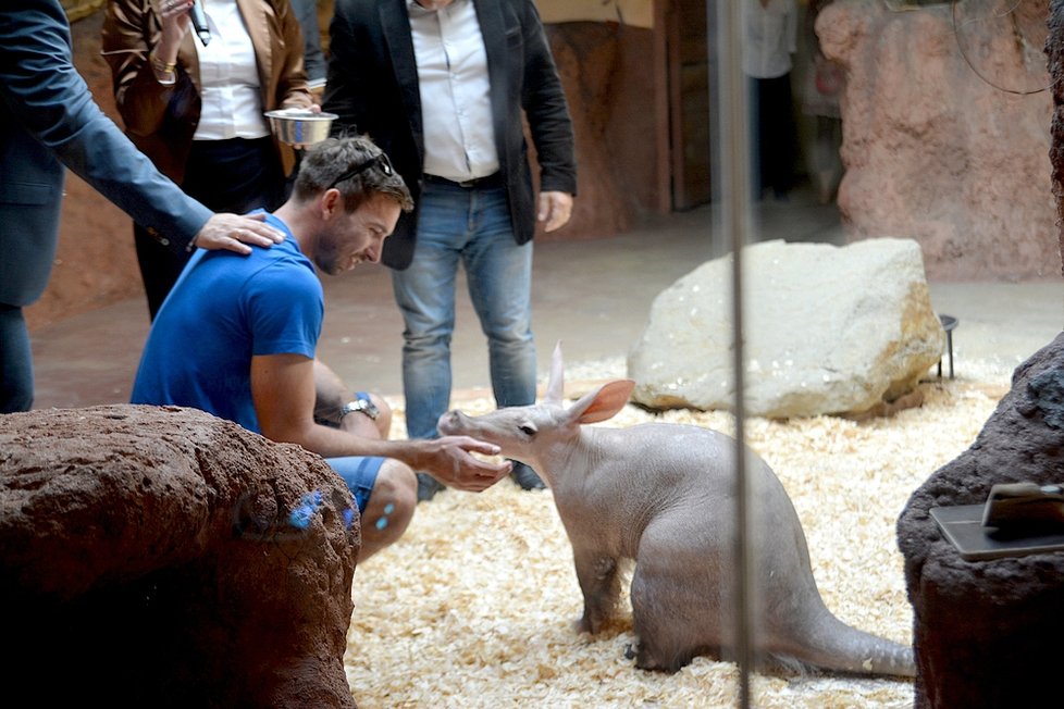 Na křtiny přišly do zoo tisíce lidí. Zájem o zjištění jmen žirafy a hrabáče byl obrovský.