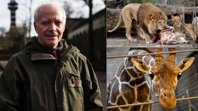 Na ředitele zoo Bengta Holsta se snesla nenávist veřejnosti.