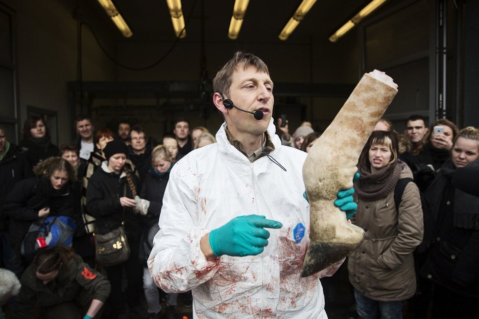 Veterinář drží v ruce uříznutou nohu žirafy.