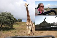 Pozor, žirafa útočí! Vyděšení turisté na safari v jižní Africe zažili horor