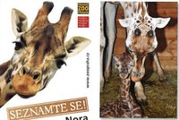 Pražská ZOO: Žirafa z plakátu porodila kluka