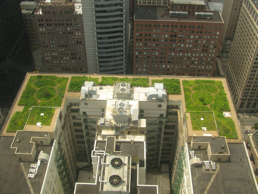 Zeleň se postupně zabydluje také na střechách domů. Podívejte, jak je zatravněná například radnice v americkém Chicagu.