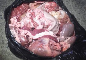 Celníci s veterináři objevili 130 kg neoznačených živočišných produktů a ryb, které páchly.