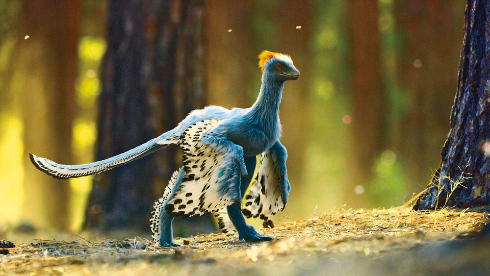 Život na naší planetě: Anchiornis byl jedním z prvních dinosaurů, který uměl létat