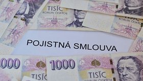 Předmětem sporu jsou investiční životní pojistky, které poskytovala Česká pojišťovna