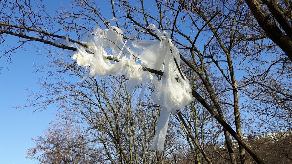 Spolek Ukliďmě Česko vybízí občany k pomoci za lepším životním prostředí. Lidé uklízí obce, města a přírodu od odpadu.