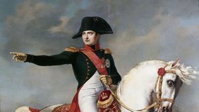 Napoleon byl slavný vojevůdce, který Francii provedl mnoha bitvami.