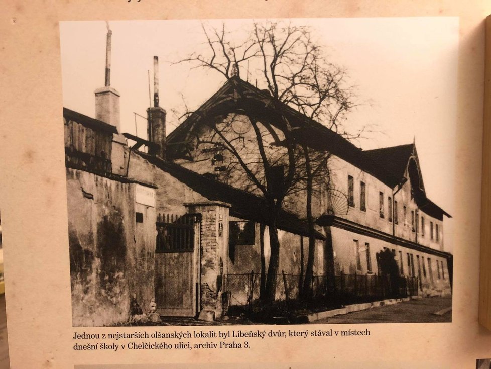Přímo v radnici Prahy 3 se otevřelo muzeum, které mapuje historii Žižkova od jeho povýšení na město až do doby, kdy byl připojen k Velké Praze.