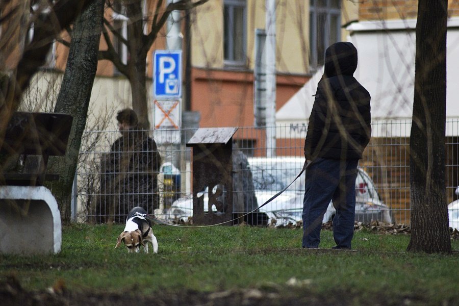 Žižkovské ulice jsou plné hovínek