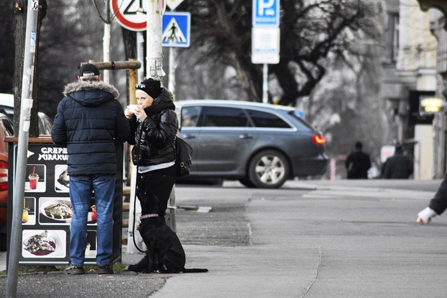 Žižkovské ulice jsou plné hovínek