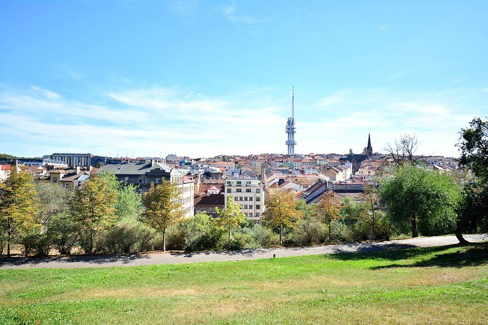 Žižkovský vysílač je dnes patrně nejznámější stavbou, která stojí na Žižkově. Mnohem dříve než vznikla, byla však dominantou svérázné čtvrti, žižkovská radnice. Dodnes je jednou z nejpůsobivějších svého druhu v Praze.