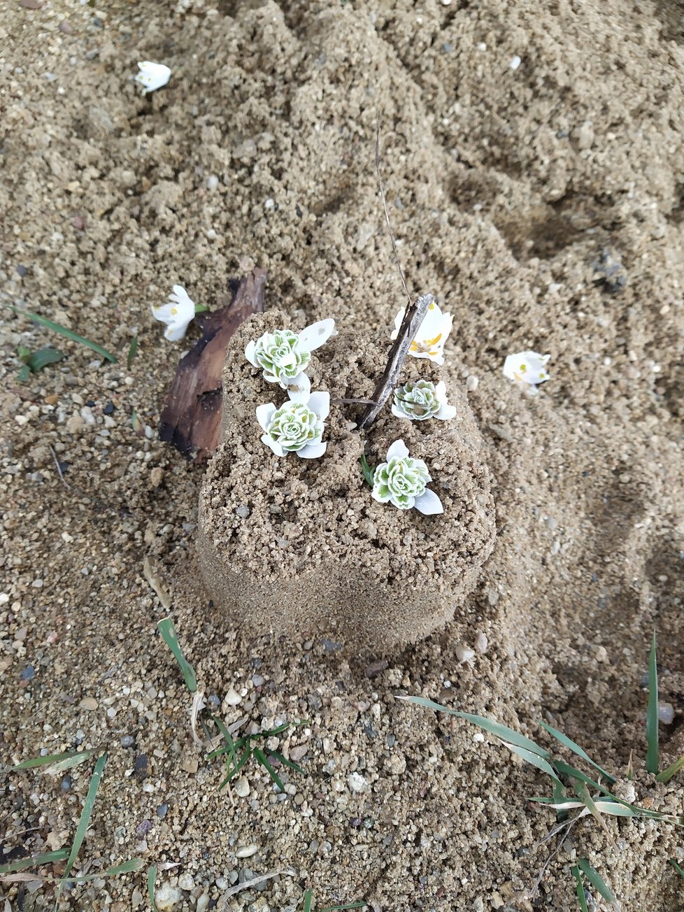 Na písku zbyla jen bábovička s květinami