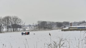 Záhada na Zličíně: Policisté objevili uprostřed pole mrtvolu muže.