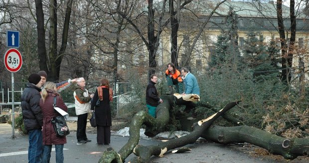 Strom zabiják má na svědomí životy dvou nejlepších kamarádů - Daniela a Honzíka