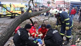 Krátce po pádu stromu byli na místě již záchranáři a hasiči