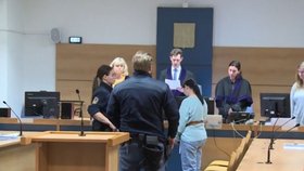 Svého partnera bila, vyhrožovala mu a útočila na něj noži a nůžkami