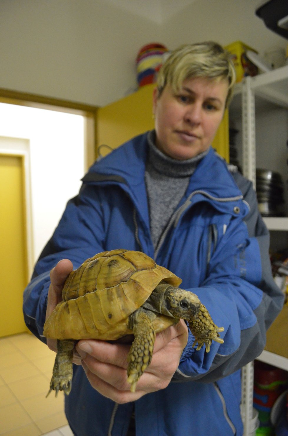 Záhadná smrt rodiny ze Zlína: Hrůzu přežily jen želvy, kočky zahynuly v přepravkách.