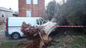 V souvislosti s větrným počasí zasahovali hasiči 11. února 2020 na náměstí T. G. Masaryka ve Zlíně, kde vzrostlý strom spadl na zaparkovanou dodávku.