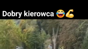 Dramatická honička se zlodějem aut.