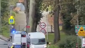 Dramatická honička se zlodějem aut.