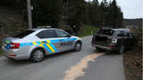 Zfetovaný zloděj ujížděl v Plzni policii: Boural a chtěl utéct, skončil ve vazbě