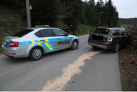 Zfetovaný zloděj ujížděl v Plzni policii: Boural a chtěl utéct, skončil ve vazbě