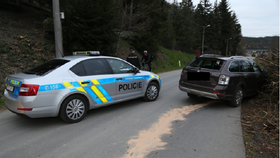 Zfetovaný zloděj ujížděl v Plzni policii kradenou škodovkou.