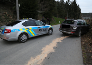 Zfetovaný zloděj ujížděl v Plzni policii kradenou škodovkou.
