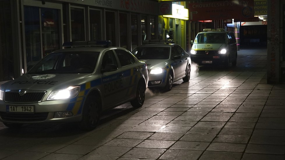 Pražští policisté zadrželi zloděje, který chtěl vykrást banku na Hájích.