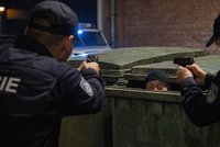 Krátká radost zlodějů: Útěk před policisty skončil mezi popelnicemi