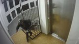 Ozbrojený lupič v Řepích! S nožem v ruce se vloupal do tří paneláků, vyplašila ho žena