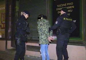 Policisté dopadli zlodějku (25), která okradla staříka (90) o životní úspory. Ilustrační foto.